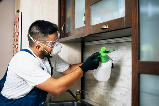 Best Residential Pest Control  in West Hurley, NY