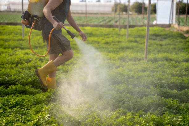 Best Pest Prevention Services  in West Hurley, NY