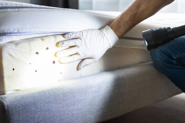 Best Best Pest Control Companies  in West Hurley, NY
