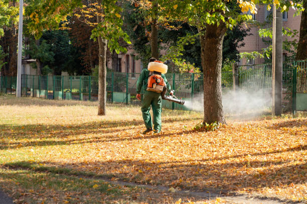 Best Termite Control Services  in West Hurley, NY