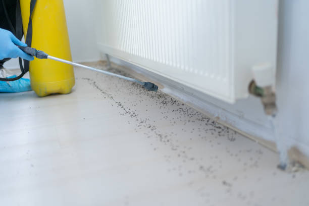 Best Best Pest Control Companies  in West Hurley, NY